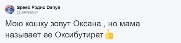 Кто во что горазд, или как правильно назвать своего питомца