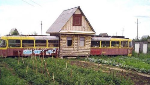 Прикольные картинки выходного дня (50 шт)