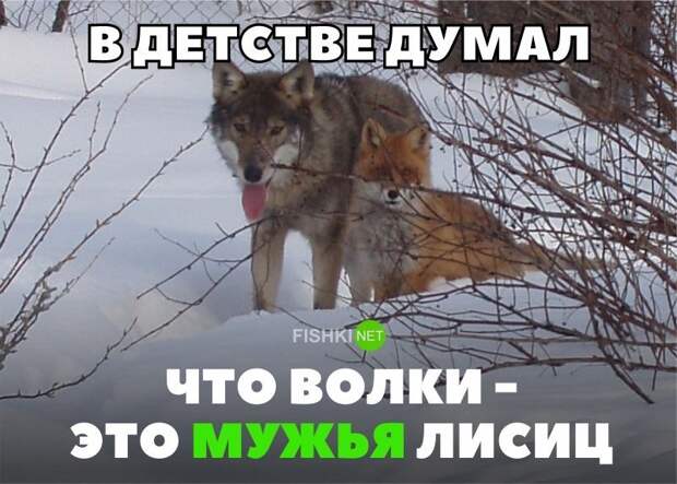 Картинки с надписями для настроения картинки с подписями, подборка, позитив, юмор
