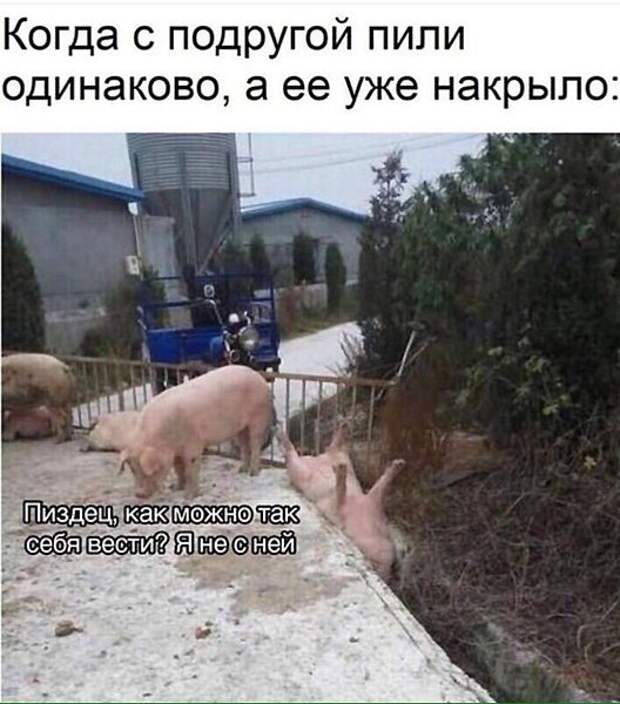 Кривые зеркала