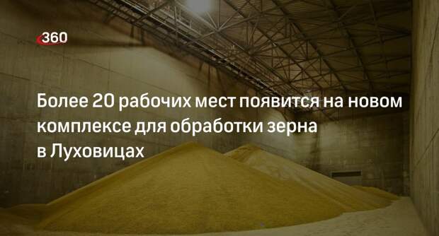 Более 20 рабочих мест появится на новом комплексе для обработки зерна в Луховицах