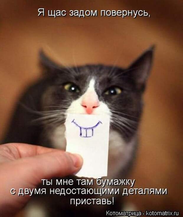 Котоматрицы(картинки с надписями)