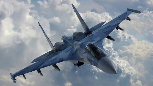 Красноперов объяснил сигнал российского Су-30 для французских ВВС
