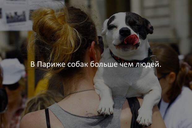 Интересные факты в картинках