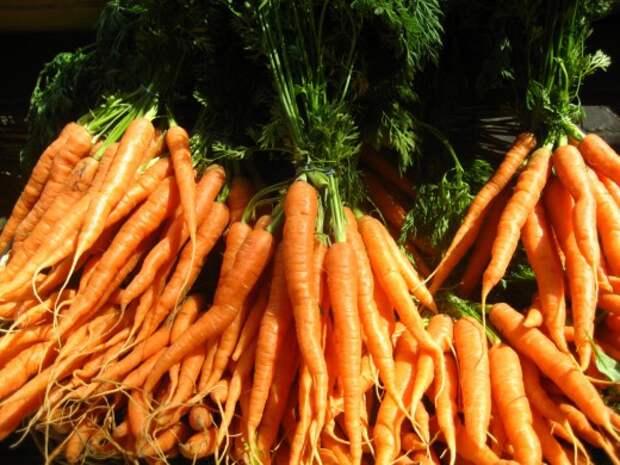 Морковь (Carrots) © Jeremy Keith