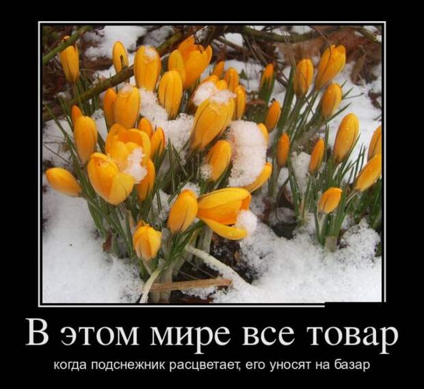 Демотиваторы (30 фото)