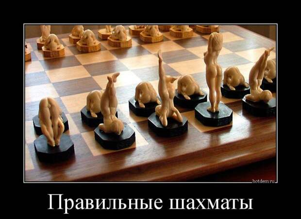 Правильные шахматы демотиватор, юмор
