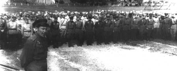 b245da46-4ed4-4739-adf2-35919fcb9dab_00584656