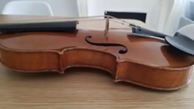 В Париже у мусорки нашли скрипку за 100 тысяч евро