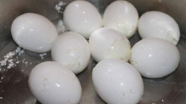 egg04
