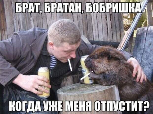 Прикольные картинки субботним утром (42 шт)