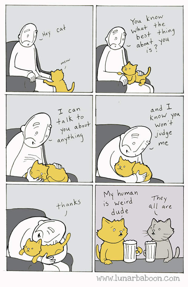 Cat Comics