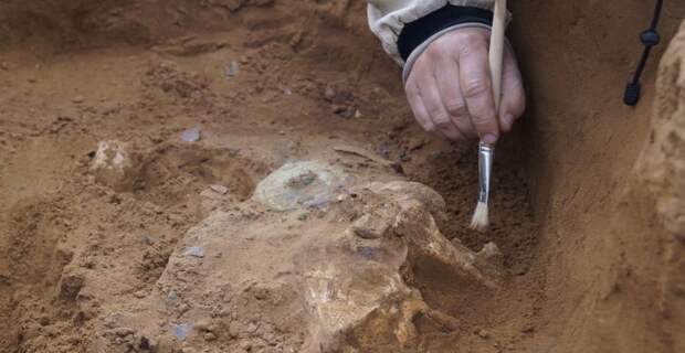 В Хакасии археологи обнаружили захоронение женщины-воительницы (ВИДЕО) itemprop=