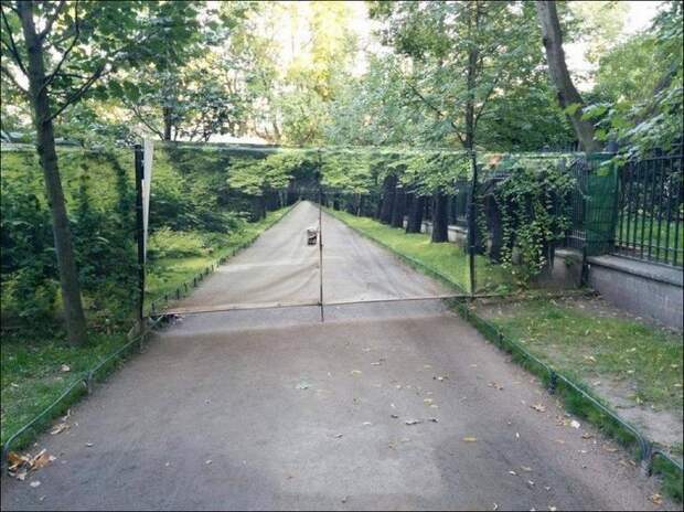 Прикольные картинки ❘ 15 фото Прикольные картинки ❘ 15 фото