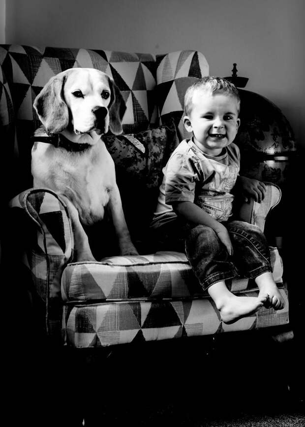 Ноябрь 2017 взросление, изменение, собака, собака - друг человека, фотограф, фотопроект