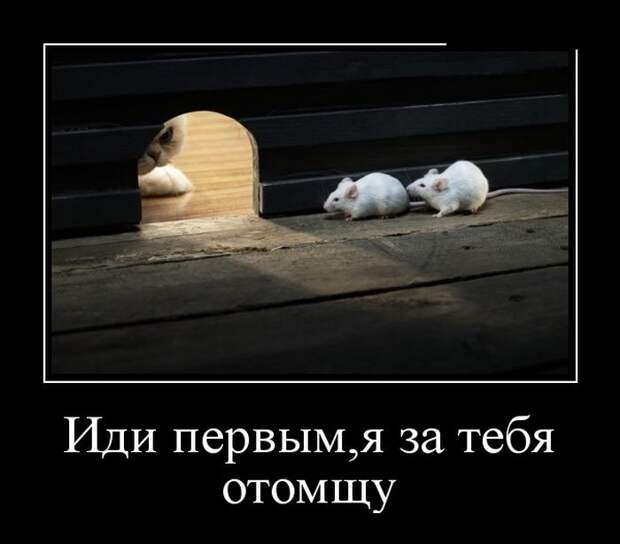 Демотиваторы (30 фото)