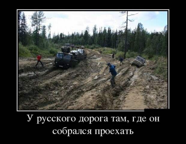 Позитивные и прикольные демотиваторы (11 фото)