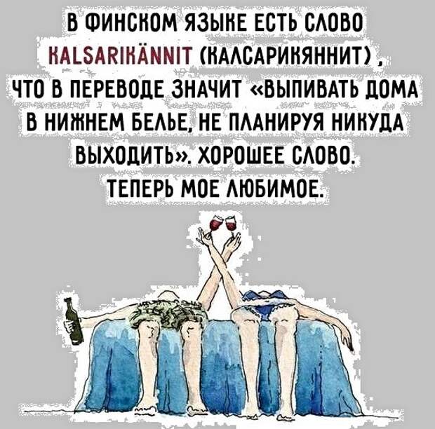 Картинки с надписями,истории и анекдоты