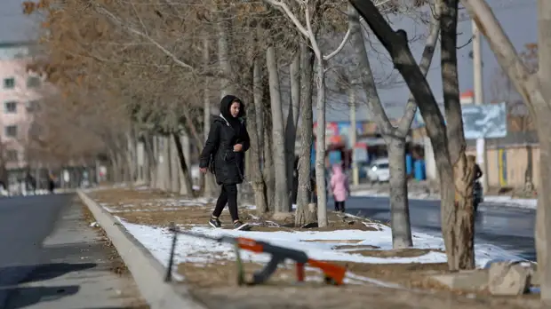 Главы МИД Индии и стран Центральной Азии заявили о поддержке мирного Афганистана