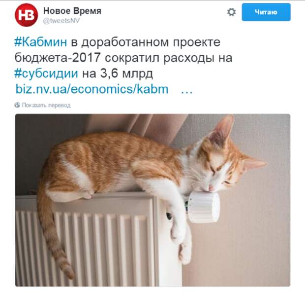 e62596b0958b.png