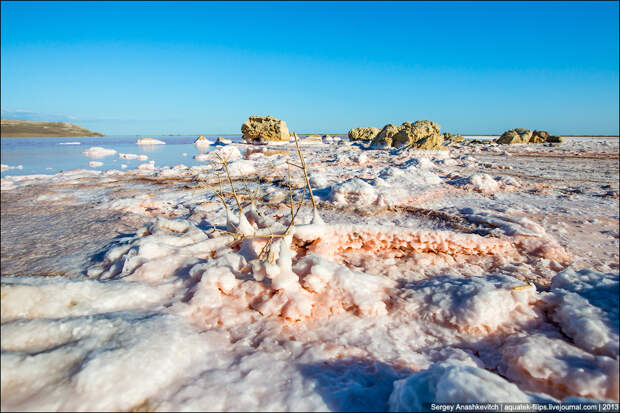 0 d8c62 1f7103bd orig Самое соленое озеро в Крыму