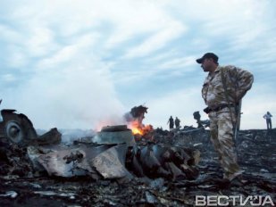 Голландцы хотят продолжить поиск тел жертв авиакатастрофы «Боинга 777»