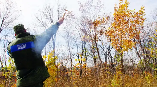 «Важно, чтобы Украина выполняла свои обещания»: как проходит разведение сил в Золотом