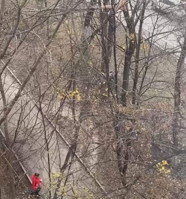 сломанные службы