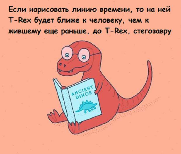 www.vsyako.net