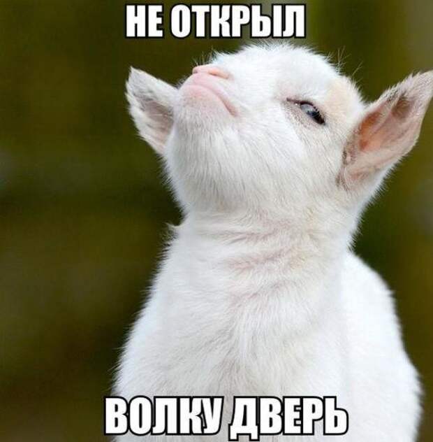 Смешные картинки с надписями прикол, юмор