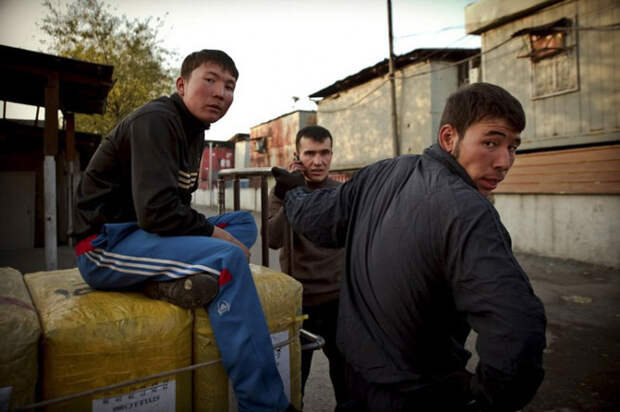 Жизнь в контейнерах