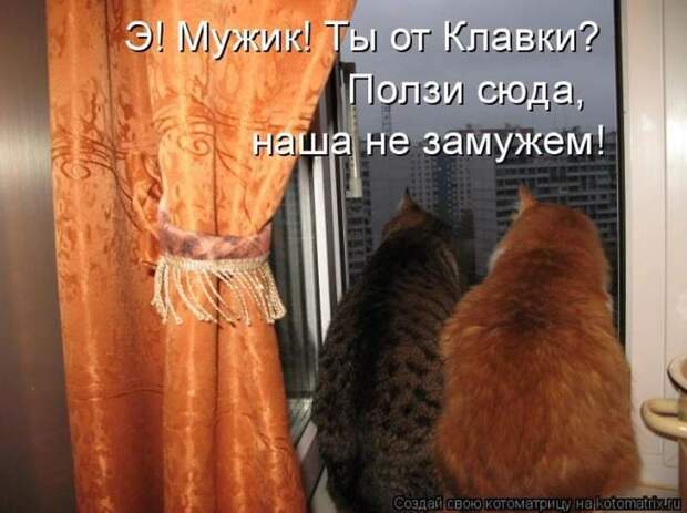 Мысли вслух :)