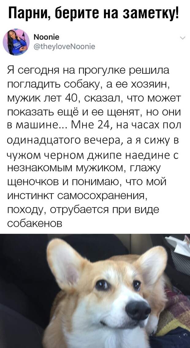 www.vsyako.net