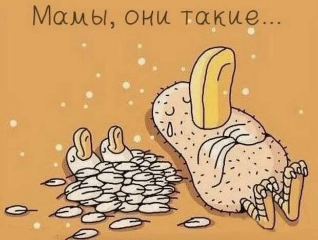 Подборка иллюстраций и фото которые докажут, что мамочки это герои