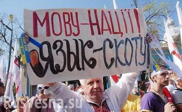 Верховный суд Украины признал законным тотальный запрет русскоязычной культуры на Львовщине | Русская весна