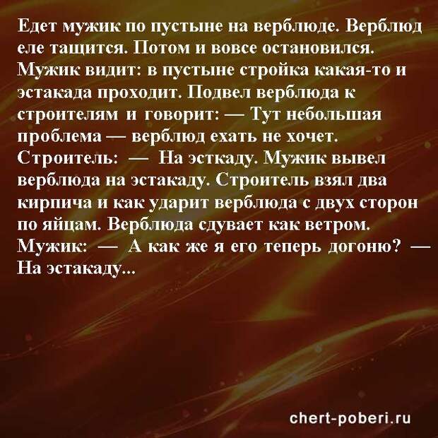 Самые смешные анекдоты ежедневная подборка chert-poberi-anekdoty-chert-poberi-anekdoty-35030424072020-2 картинка chert-poberi-anekdoty-35030424072020-2