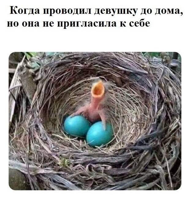 Кривые зеркала