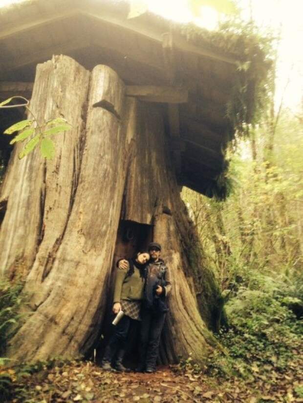 Необычные жилища американских поселенцев XIX века 