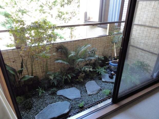 Субтропический стиль зимнего сада отлично расположившийся на балконе квартиры. 