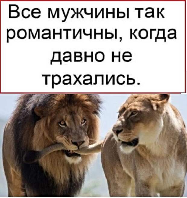 Картинки с надписями,истории и анекдоты