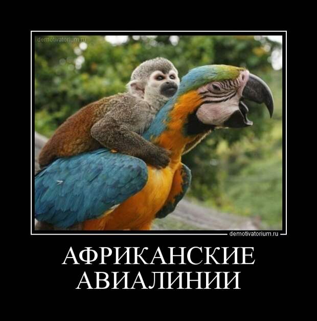 Похожее изображение