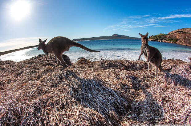 Lucky Bay