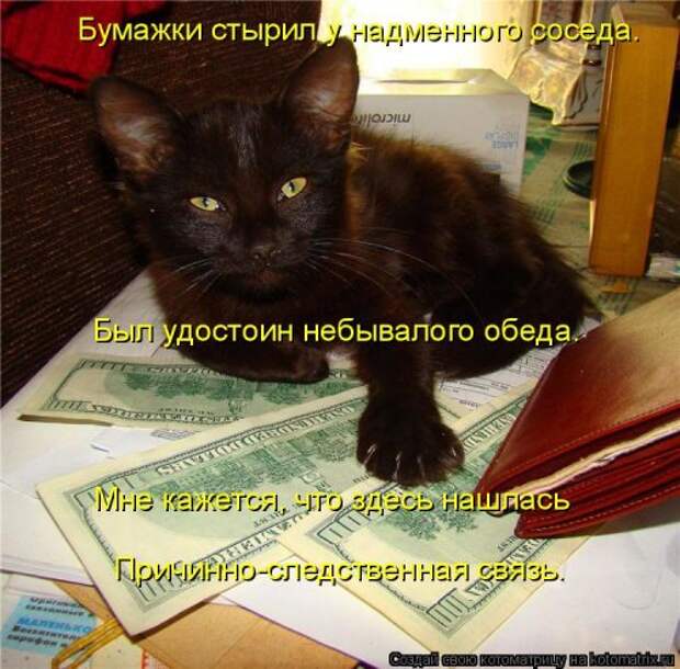 Новая отличная котоматрица (38 фото)