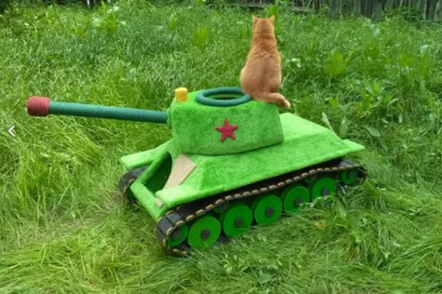 Новосибирец сделал 50-килограммовый танк для кота дом, животные, кот, своими руками, танк