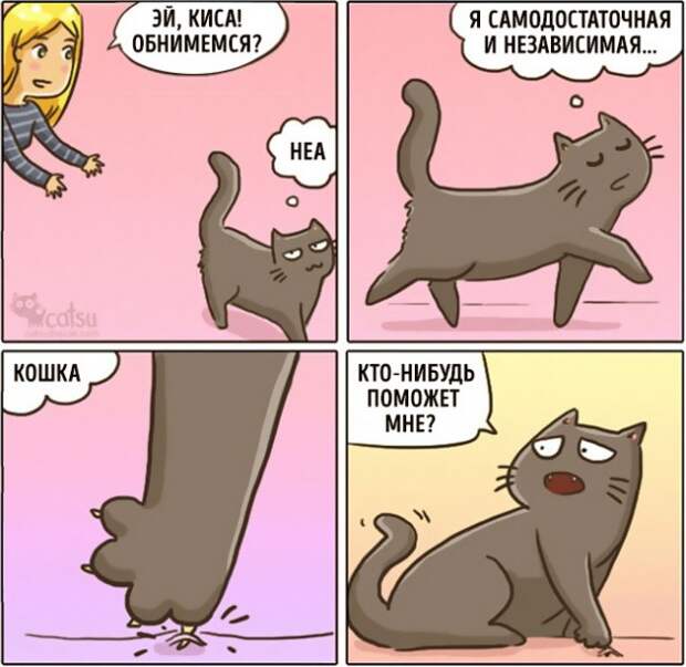 Как меняется жизнь с появлением в доме кота (20 картинок)