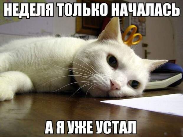 Формула Любви