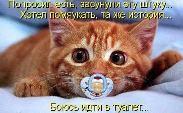 Хахатунчики 19