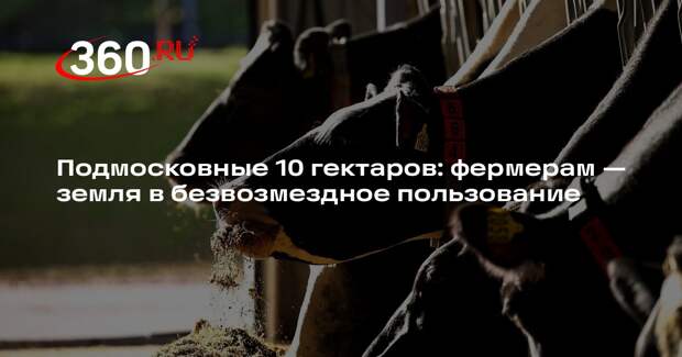 Подмосковные 10 гектаров: фермерам — земля в безвозмездное пользование