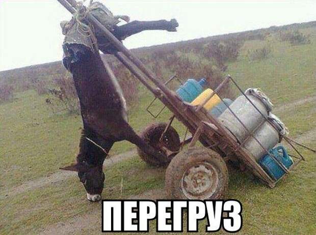 Картинки с надписями