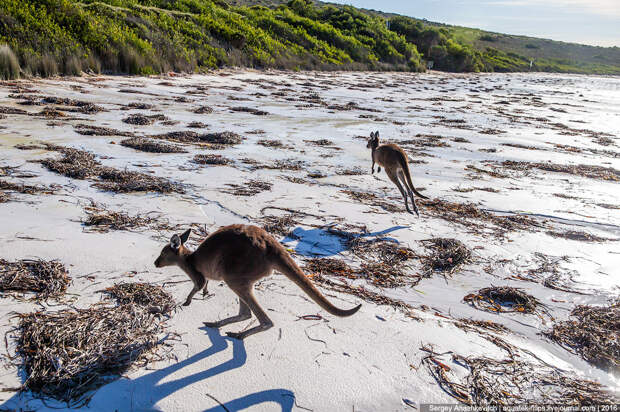 Lucky Bay